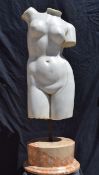 Marble torso of Venus