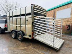 IFOR WILLIAMS CATTLEBOX TRAILER*C/W PARTITION*