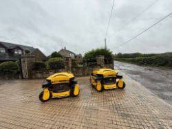 2017 RANSOMES SPIDER ILD02 REMOTE CONTROLLED BANK/SLOPE MOWER