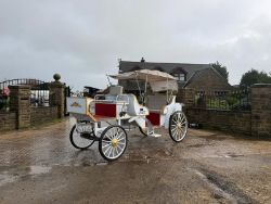 NEW/UNUSED 2025 CAPTOK MCE ELECTRIC SELF DRIVE WEDDING EVENT CARRIAGE