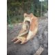 2FT DIGGING BUCKET - Image 1 of 8