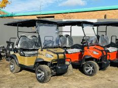 *NEW UNUSED*RACCOON RC-G4.0 ELECTRIC GOLF CART