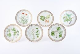 Sechs große Platzteller 'Flora Danica'