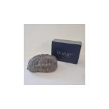 Two Natural Image Wig, Kim Petite (Silver Mink) KIP/PP/48