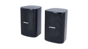 Bose DesignMax DM2S 2.25