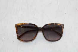 Scotch & Soda 5616 140 Sunglasses, Brown/Graduated