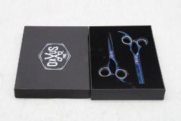 Four Boxes of Hairdresser 5.5 Inch Pro Scissors Set, Blue to include Two Scissors Per Box