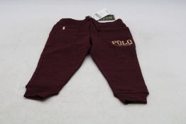 Ralph Lauren Boy's Cotton Joggers, Burgundy, Age 7