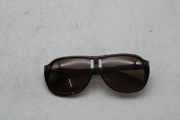 Scotch & Soda 5817 145 Sunglasses, Dark Brown