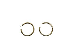 Bonheur Jewellery Gold Plated Loop Earrings