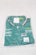 Aston Martin F1 Official Team Kit Team Polo Shirt, Green, Size M