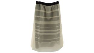 Dorothee Schumacher Translucent Romance Skirt Size 5