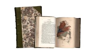 Cage & Chamber Birds (1853) by Bechstein, First Edition