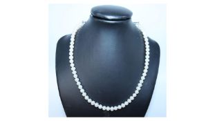 Pandora ME Freshwater Cultured Pearl Necklace
