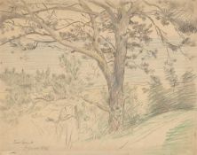 Lovis Corinth. Strandkiefer an der Ostseeküste bei Zoppot. 1896