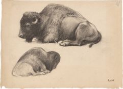 Ludwig von Hofmann. Liegender Bison in zwei Ansichten. Um 1900