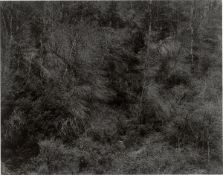 Harry Callahan. Aix-en-Provence, France. 1957