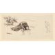 Max Liebermann. „Hilariens Sturz“. 1920 - Bild 2 aus 3