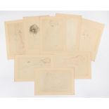 Gustav Klimt. „25 Handzeichnungen“. 1919