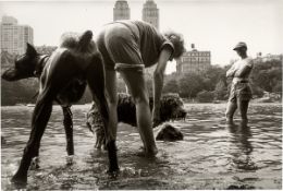Ken Heyman. ”Central Park, New York City”, from the series ”Hipshot”, 1984–1985.