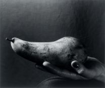 Manfred Paul. ”Birne mit Hand