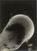 Eli Lotar. ”Œil de Crevette”. 1930