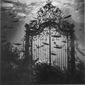 Gregor Törzs. Ciel Lourd # 5. 2009
