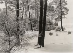 Albert Renger-Patzsch. Arnsberg Wood. 1950s