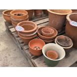 Assorted mostly terracotta planters various sizes