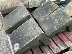 Four matching sandstone coping, 36cm w x 57cm l x 35cm h