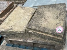 X11 curved sandstone slabs, 50cm w x 77cm l x 4cm h