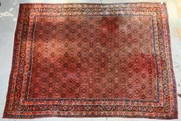 Großer Bidjar, mittelfeine bis feine Knüpfung, ringsum komplett, gleichmäßig hoher Flor; Maße 445 x 