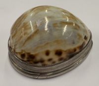DUBLIN: An 18th Century Irish silver-mounted cowrie shell snuff box.