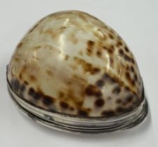 An 18th Century silver-mounted cowrie shell snuff box, maker's mark only to interior. Approx. 79
