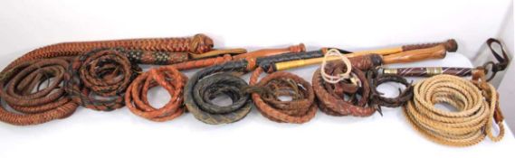 A group of eight braided leather bull whips (8)