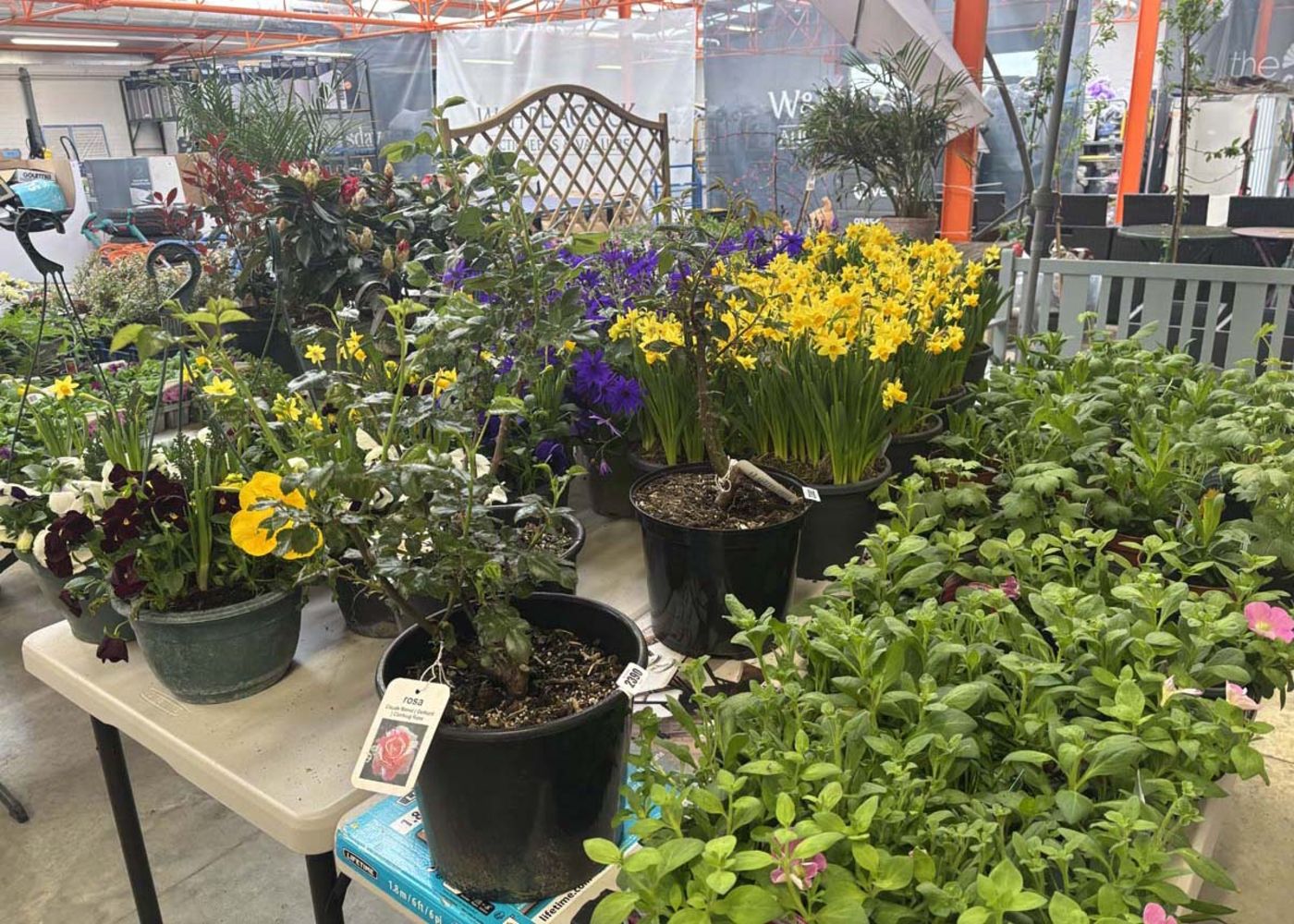 St Neots Weekly Sale 2