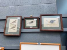 3 oak framed bird prints