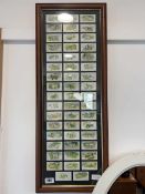 Framed set of dog Players cigarette cards (1925)