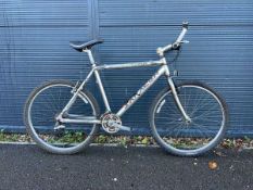 Sarasin town bike