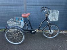 Jorvik tricycle