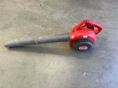 Petrol leaf blower