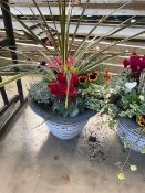 +VAT Plant pot to include Cyclamen, Ivy, Violas, Pansies etc