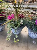 +VAT Plant pot to include Cyclamen, Ivy, Violas, Pansies etc