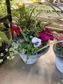 +VAT Plant pot to include Cyclamen, Ivy, Violas, Pansies etc