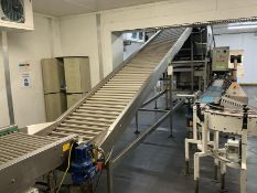 Sorma Incline Conveyor