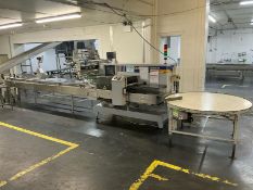 ILAPAK CARRERA 2000PC Flow Packing Machine