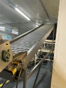 Sorma inclined conveyor -2006