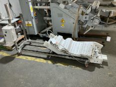 Components for inclined conveyor