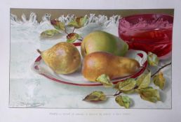 Selection Species of Pears Antique Edwardian Robert Thompson Coloured Print-6