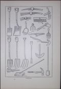 Selection Gardening Tools Antique Edwardian Robert Thompson Print-19